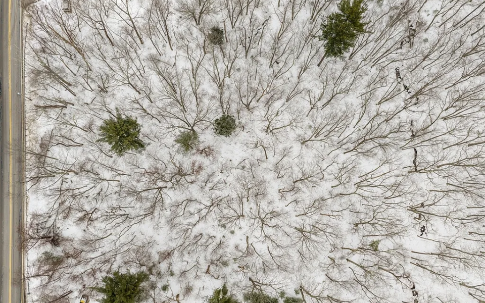 c56e1e68a4c71a617d91c21d8dc91f85-uncropped_scaled_within_1536_1152